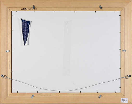 Карев Алексей Еремеевич. Васильевский остров 